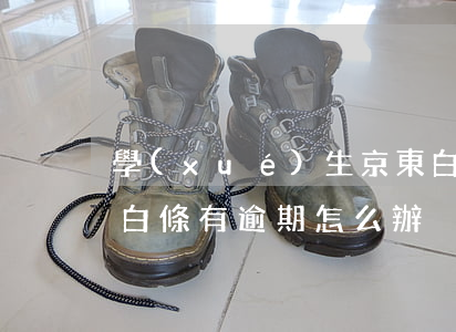 學(xué)生京東白條逾期了怎么辦(京東白條有逾期怎么辦)