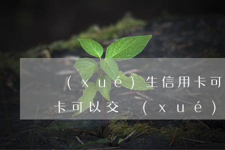 學(xué)生信用卡可以透支多少錢(透支卡可以交學(xué)費(fèi)嗎)
