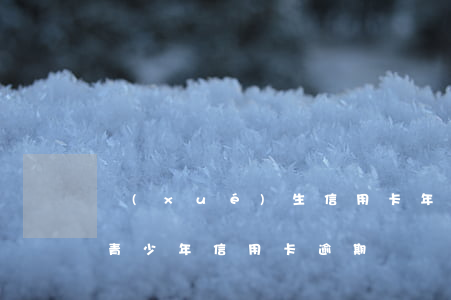 學(xué)生信用卡年費(fèi)逾期(青少年信用卡逾期)