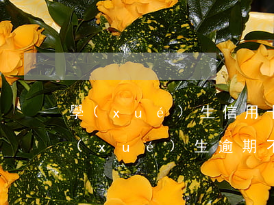 學(xué)生信用卡逾期影響征信嗎-學(xué)生逾期不上征信