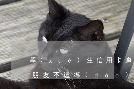 學(xué)生信用卡逾期怎么還(信用卡借朋友不還導(dǎo)致逾期了我該怎么辦)