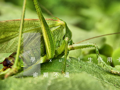 學(xué)生信用卡逾期還不起 欠信用卡逾期不還