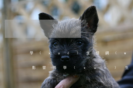 學(xué)生借網(wǎng)貸逾期有影響嗎(學(xué)生貸款逾期了會(huì)怎樣)