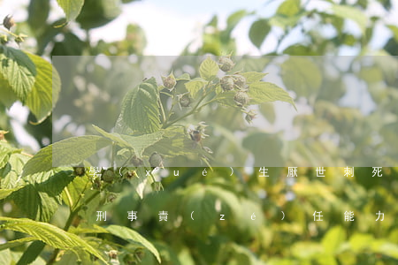 學(xué)生厭世刺死司機(jī),限定刑事責(zé)任能力認(rèn)定