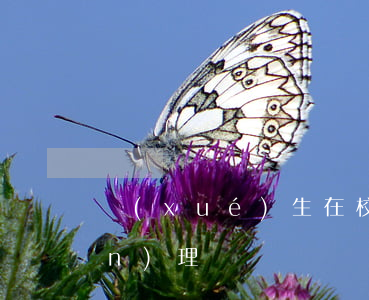 學(xué)生在校意外受傷保險(xiǎn)理賠嗎