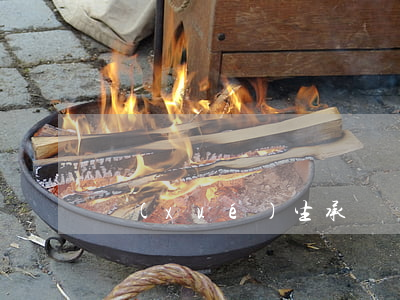 學(xué)生承諾書怎么寫