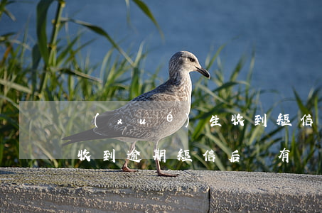 學(xué)生收到短信信用卡逾期(信用卡收到逾期短信后還有補(bǔ)救的方法嗎)