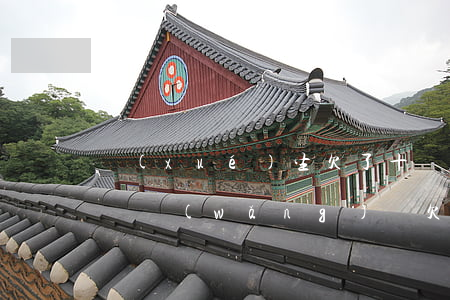 學(xué)生欠了十幾萬網(wǎng)貸(網(wǎng)貸欠10幾萬)