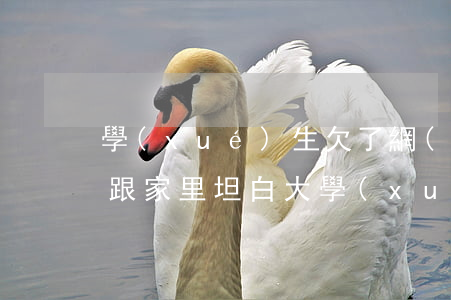 學(xué)生欠了網(wǎng)貸怎么跟家里坦白(大學(xué)生欠網(wǎng)貸怎么跟爸媽坦白)