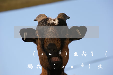 學(xué)生欠了網(wǎng)貸還不起(大學(xué)生網(wǎng)貸還不起)