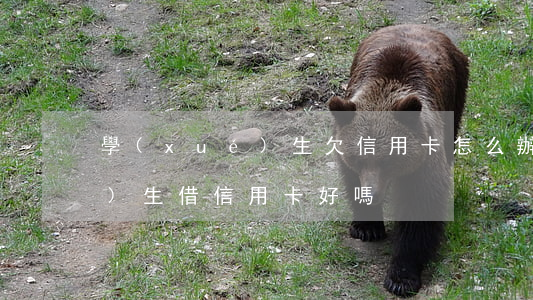 學(xué)生欠信用卡怎么辦(學(xué)生借信用卡好嗎)