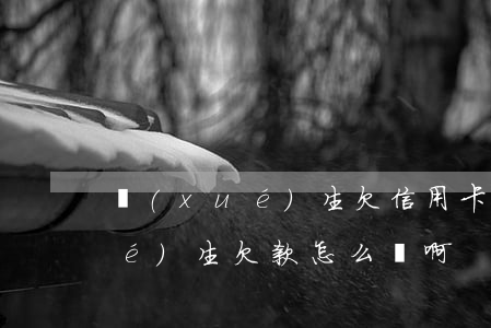 學(xué)生欠信用卡會怎么樣(學(xué)生欠款怎么辦啊)