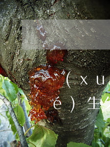 學(xué)生欠分期樂怎么辦(大學(xué)生欠分期樂怎么辦)