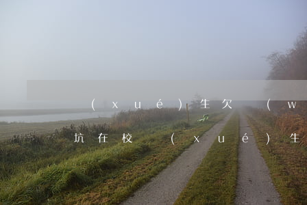 學(xué)生欠網(wǎng)貸怎么脫坑(在校學(xué)生欠了網(wǎng)貸怎么辦)