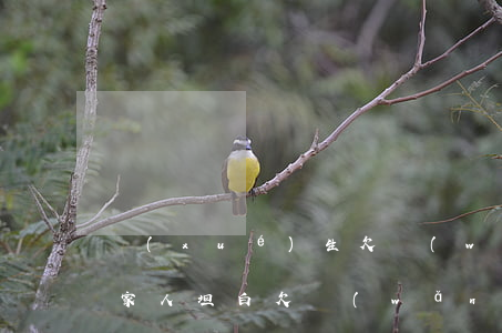 學(xué)生欠網(wǎng)貸怎么跟家人坦白(欠網(wǎng)貸跟家里人坦白了)