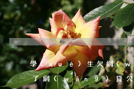 學(xué)生欠網(wǎng)貸要逾期了(網(wǎng)貸欠款逾期)