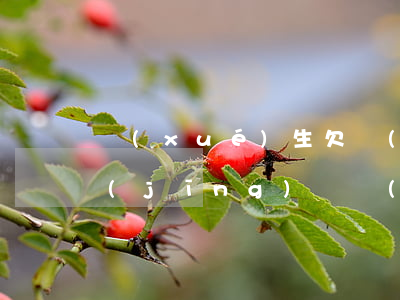 學(xué)生欠網(wǎng)貸跑路經(jīng)驗(學(xué)生欠網(wǎng)貸跑路經(jīng)驗)