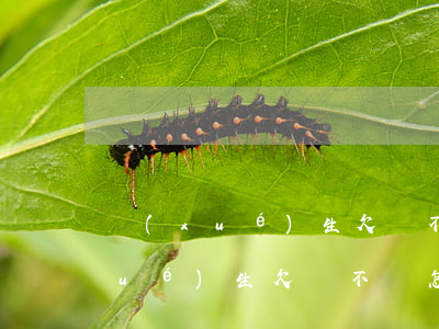 學(xué)生欠錢不還如何起訴-學(xué)生欠錢不還怎么處理