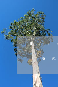 學(xué)生欠錢不還被起訴(學(xué)生欠錢被起訴后果)