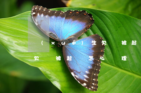 學(xué)生欠錢被起訴(學(xué)生欠錢被起訴怎么處理)