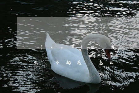 學(xué)生無力償還花唄(學(xué)生還不起花唄怎么辦)