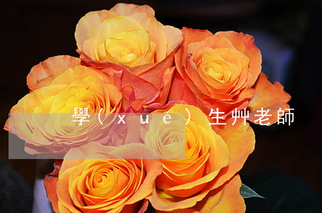 學(xué)生艸老師