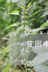 學(xué)生貧困申請書(學(xué)生貧困申請書400字)