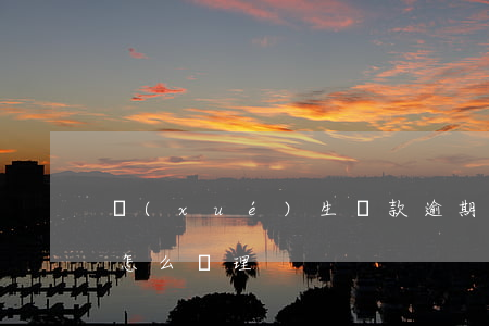 學(xué)生貸款逾期多久消除(借貸逾期怎么處理)
