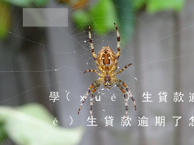 學(xué)生貸款逾期怎么消除(學(xué)生貸款逾期了怎么辦)