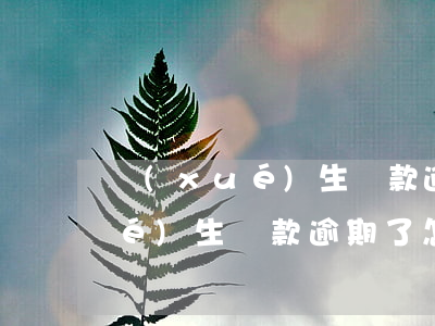 學(xué)生貸款逾期情況說明(學(xué)生貸款逾期了怎么辦)
