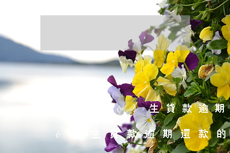學(xué)生貸款逾期會怎么樣(學(xué)生貸款逾期還款的后果)