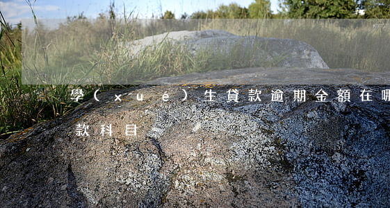 學(xué)生貸款逾期金額在哪兒(逾期貸款科目)