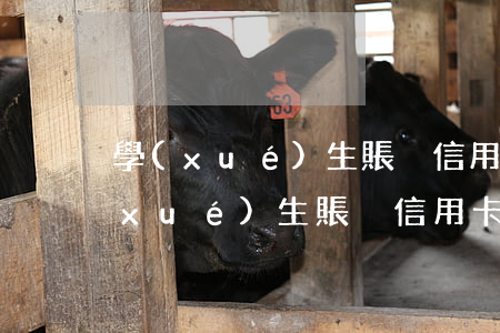 學(xué)生賬戶信用卡逾期怎么辦（學(xué)生賬戶信用卡逾期）