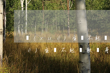 學(xué)生還不起貸款怎么辦（學(xué)生還不起貸款賣身）