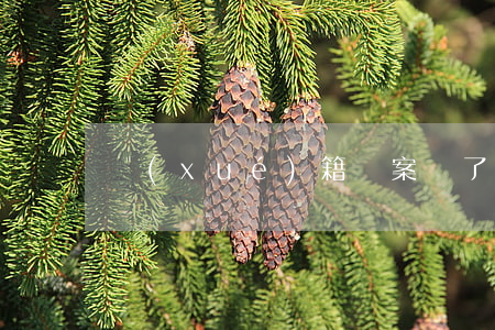 學(xué)籍檔案丟了怎么辦