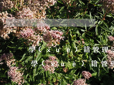 學(xué)籍管理法律法規(guī)(學(xué)籍管理制度)