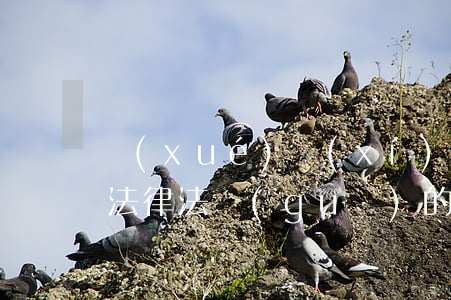 學(xué)習(xí)語(yǔ)言文字法律法規(guī)的手抄報(bào)(語(yǔ)文文字規(guī)范手抄報(bào))
