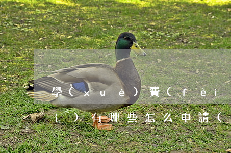 學(xué)費(fèi)分期平臺(tái)有哪些（怎么申請(qǐng)學(xué)費(fèi)分期免息）