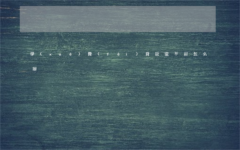 學(xué)費(fèi)貸款還不起怎么辦