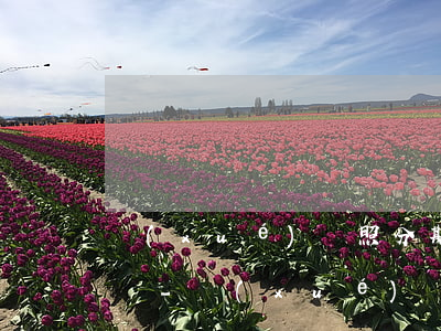 學(xué)駕照分期付款逾期未還款會怎樣-學(xué)駕照分期付款可以退嗎