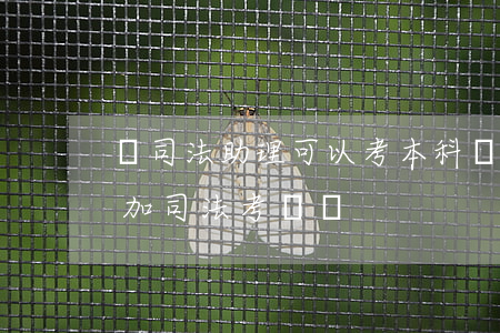學司法助理可以考本科嗎(普通本科生可以參加司法考試嗎)