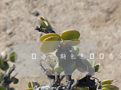 學易分期免息嗎(學易分期貸款)