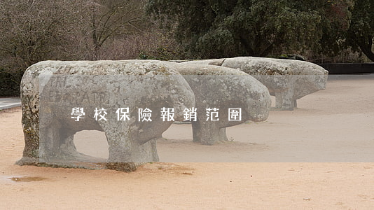 學校保險報銷范圍