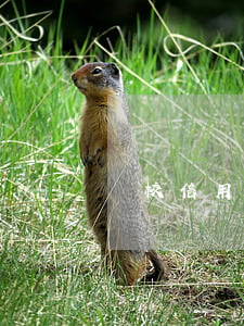 學校 信用卡 逾期 學校 信用卡 逾期會怎么樣