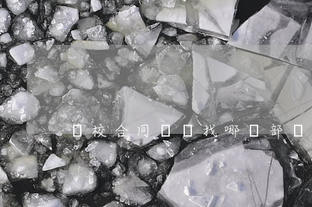 學校合同糾紛找哪個部門