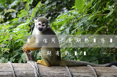 學生信用卡逾期影響房貸嗎(貸款買房后信用卡逾期有影響嗎?)