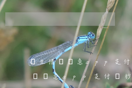 學生借錢應急app支付寶秒到賬-學生借錢應急app支付寶秒到賬蘋果
