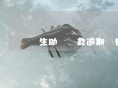 學生助學貸款逾期還有辦法解決嗎