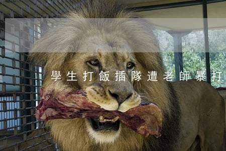 學生打飯插隊遭老師暴打致腦外傷
