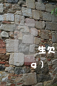學生欠了2萬網(wǎng)貸(網(wǎng)貸欠兩萬)